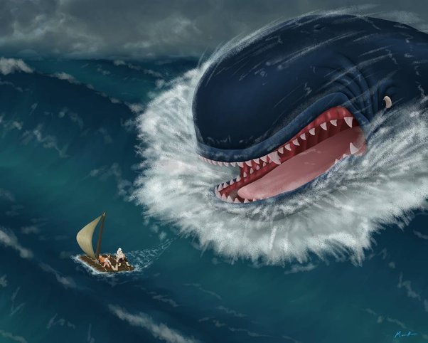 Whale Client
