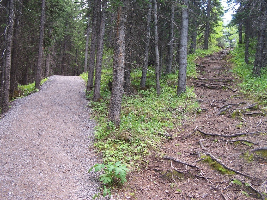 The Road Less Traveled: Building a Business